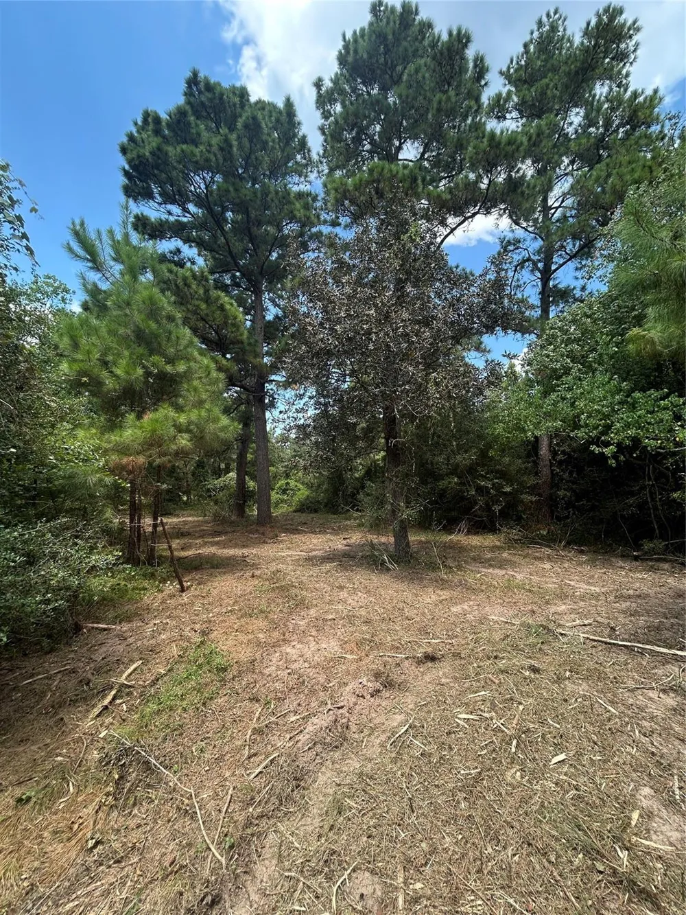 11919 Hickory Wood Pinehurst, TX 77362