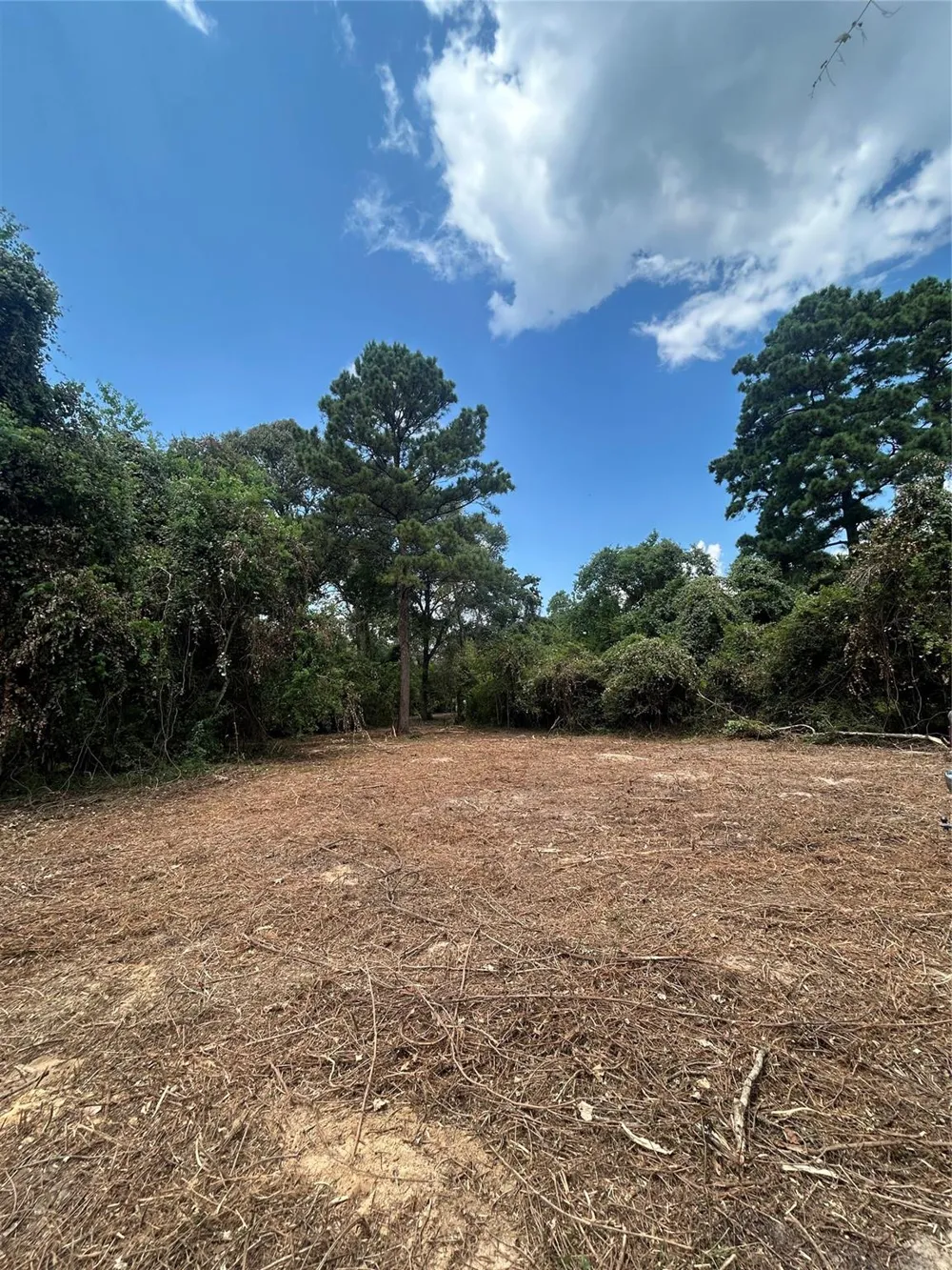 11919 Hickory Wood Pinehurst, TX 77362