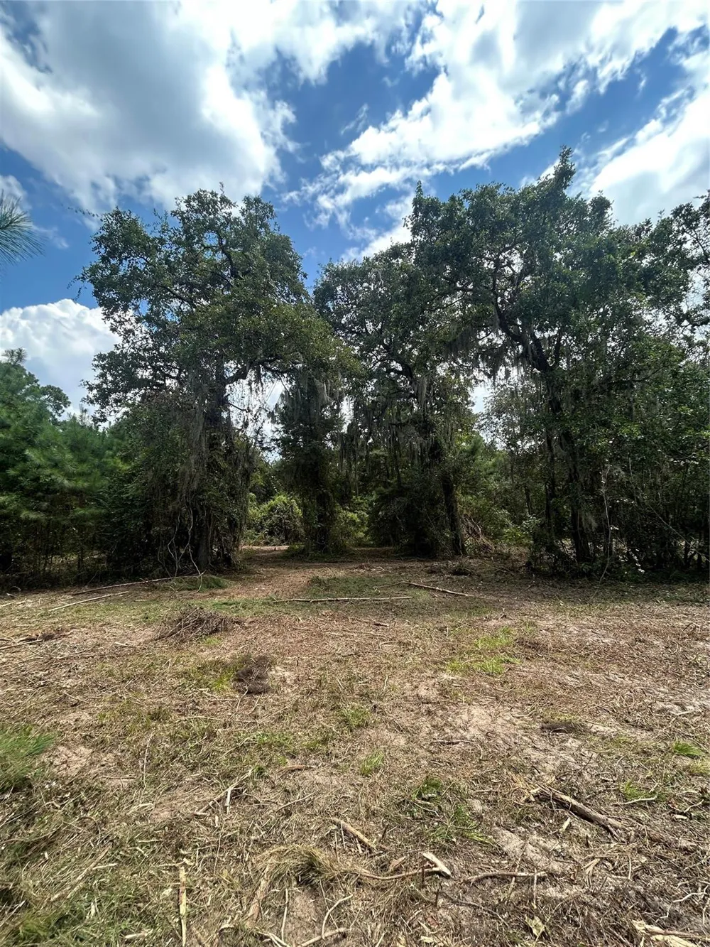 11919 Hickory Wood Pinehurst, TX 77362