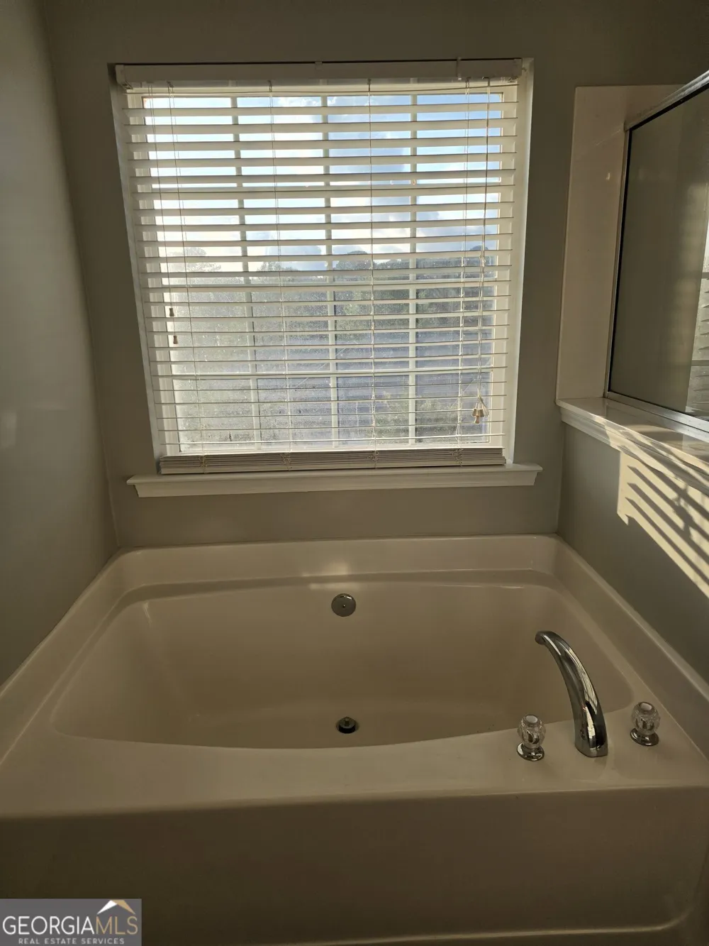 2432 Black Forest DR Conyers, GA 30012