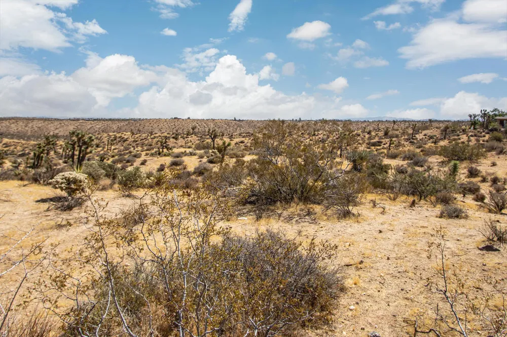 2829 Keeler Avenue Yucca Valley, CA 92284