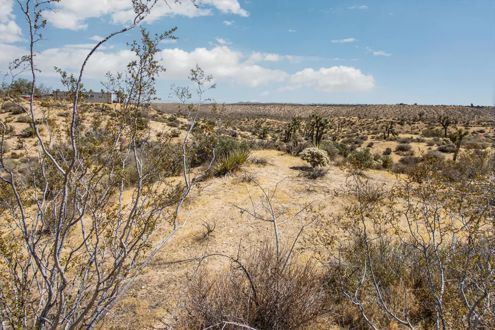 2829 Keeler Avenue Yucca Valley, CA 92284