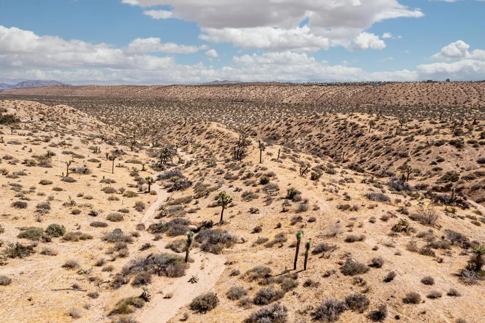 2829 Keeler Avenue Yucca Valley, CA 92284