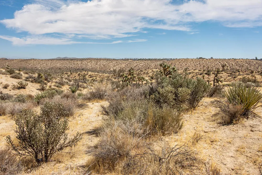 2829 Keeler Avenue Yucca Valley, CA 92284
