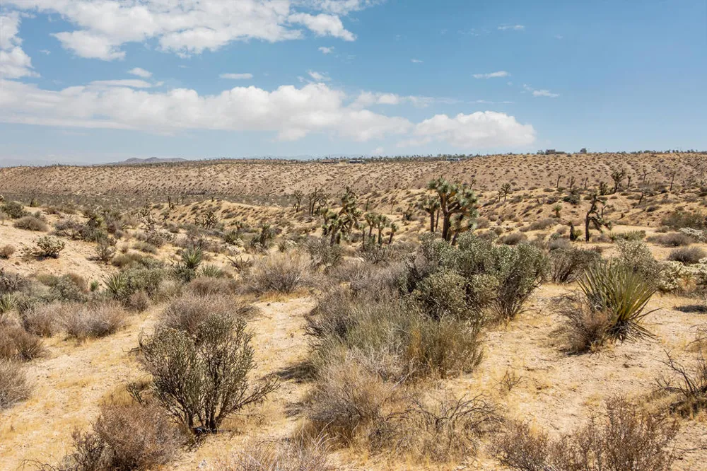 2829 Keeler Avenue Yucca Valley, CA 92284