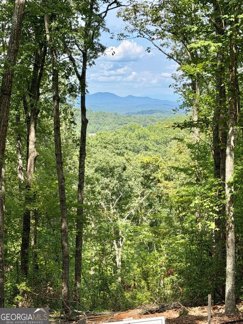 LOT 28 Prospect RDG Blue Ridge, GA 30513