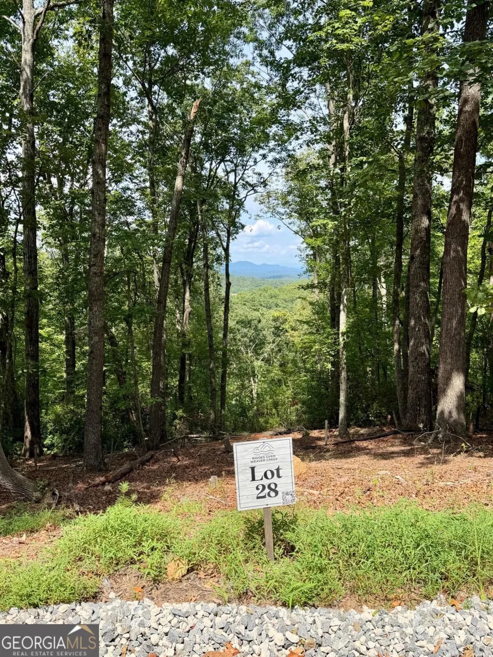 LOT 28 Prospect RDG Blue Ridge, GA 30513