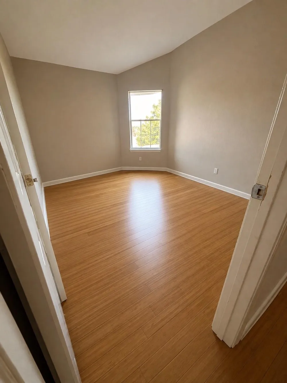 1006 Mettler Ct Richmond, TX 77469