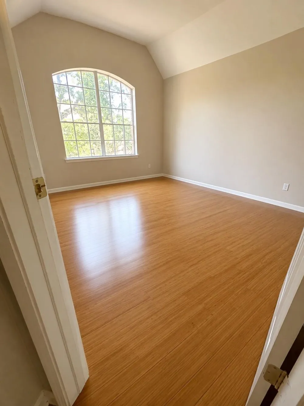 1006 Mettler Ct Richmond, TX 77469