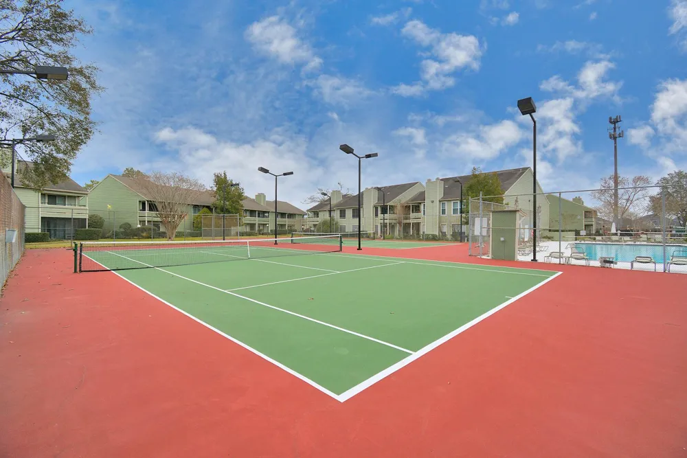 14777 Wunderlich Drive #2213 Houston, TX 77069