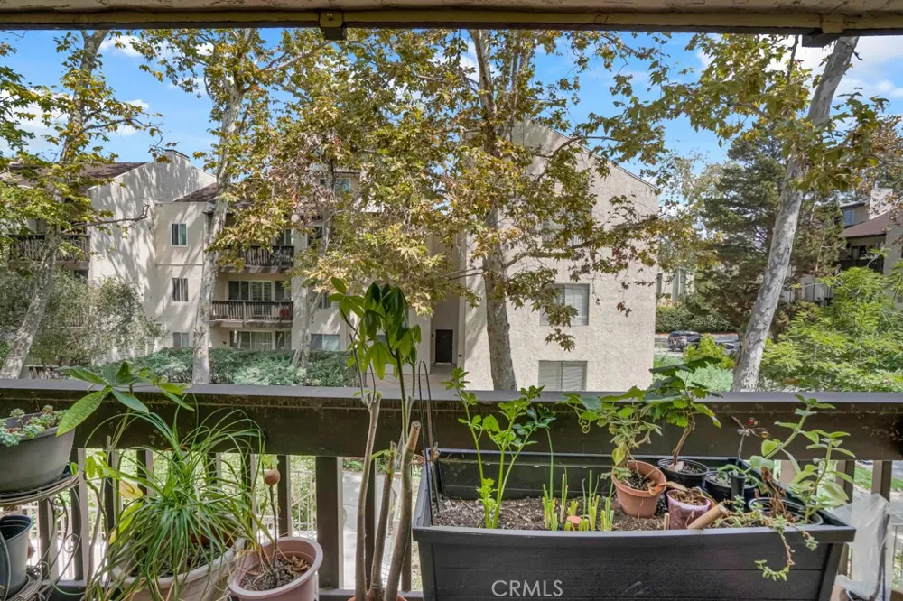 8201 Summertime Culver City, CA 90230