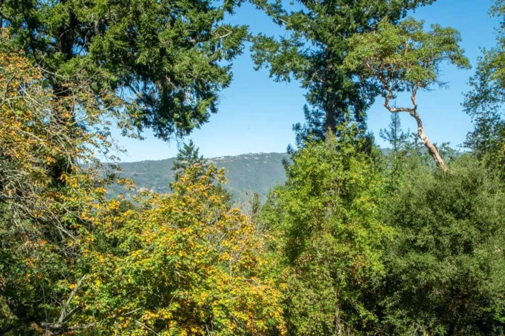 17368 Melody Lane Los Gatos, CA 95033
