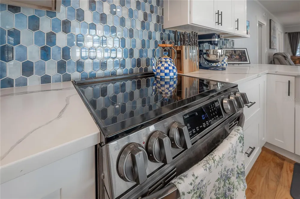 203 W FRIERSON AVENUE Tampa, FL 33603