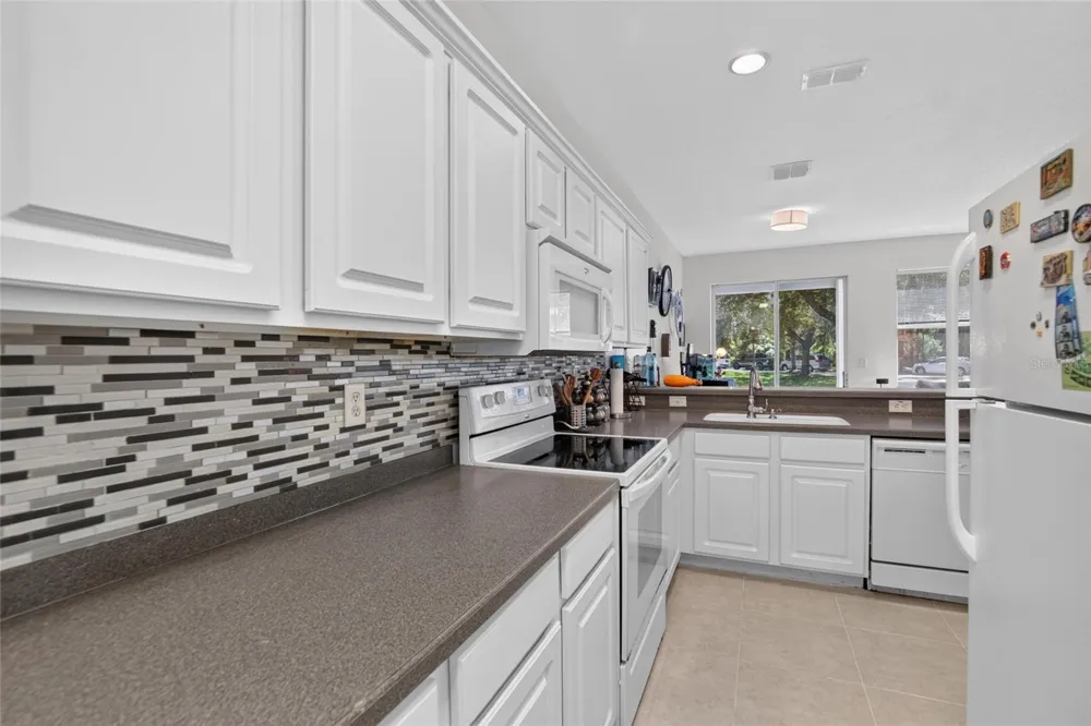 19262 STONE HEDGE DRIVE Tampa, FL 33647
