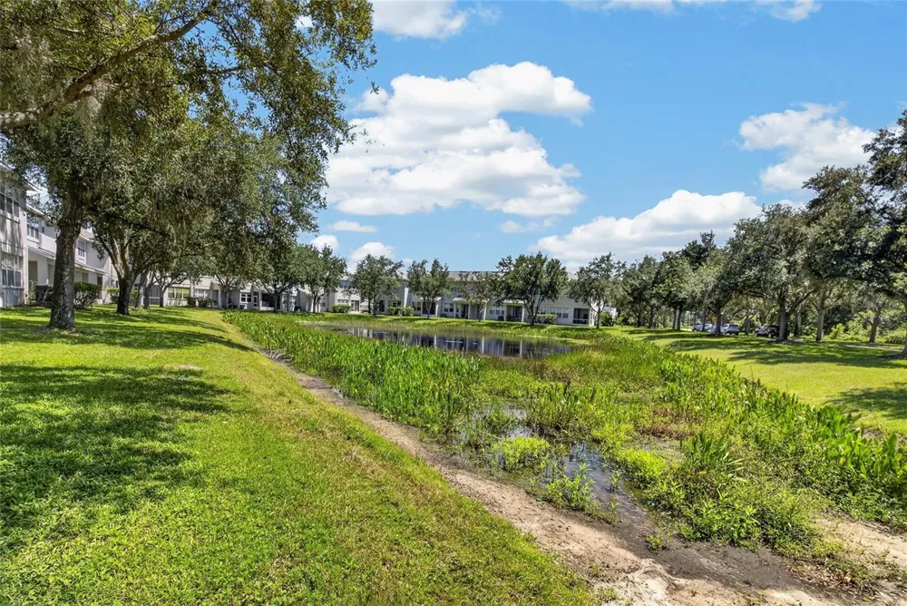 19262 STONE HEDGE DRIVE Tampa, FL 33647