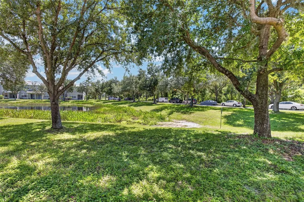 19262 STONE HEDGE DRIVE Tampa, FL 33647