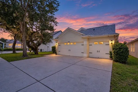 13028 TERRACE SPRINGS DRIVE
