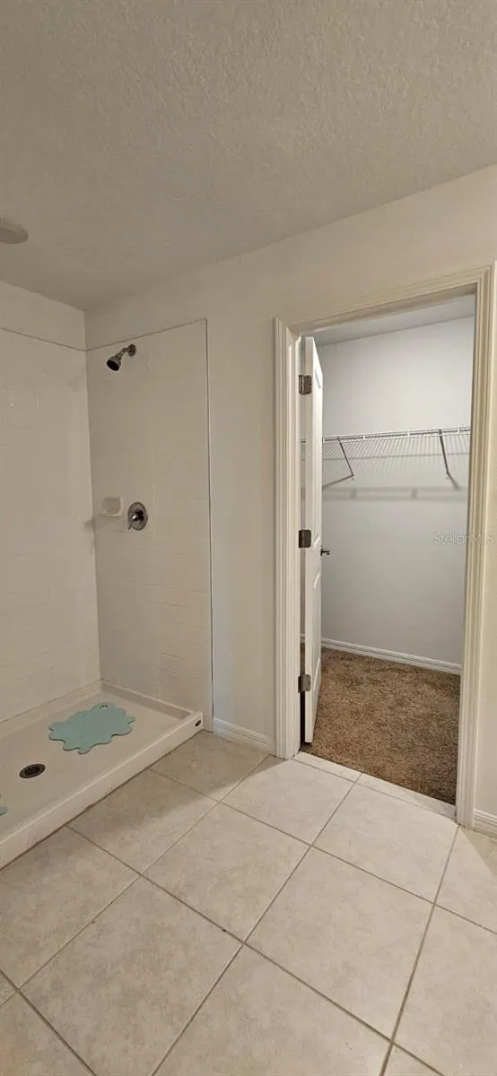 9910 SPANISH LIME COURT Riverview, FL 33578