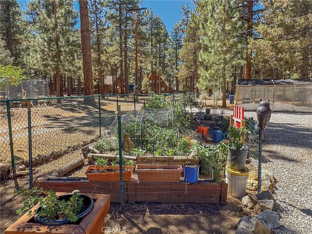 1971 Fern Big Bear City, CA 92314