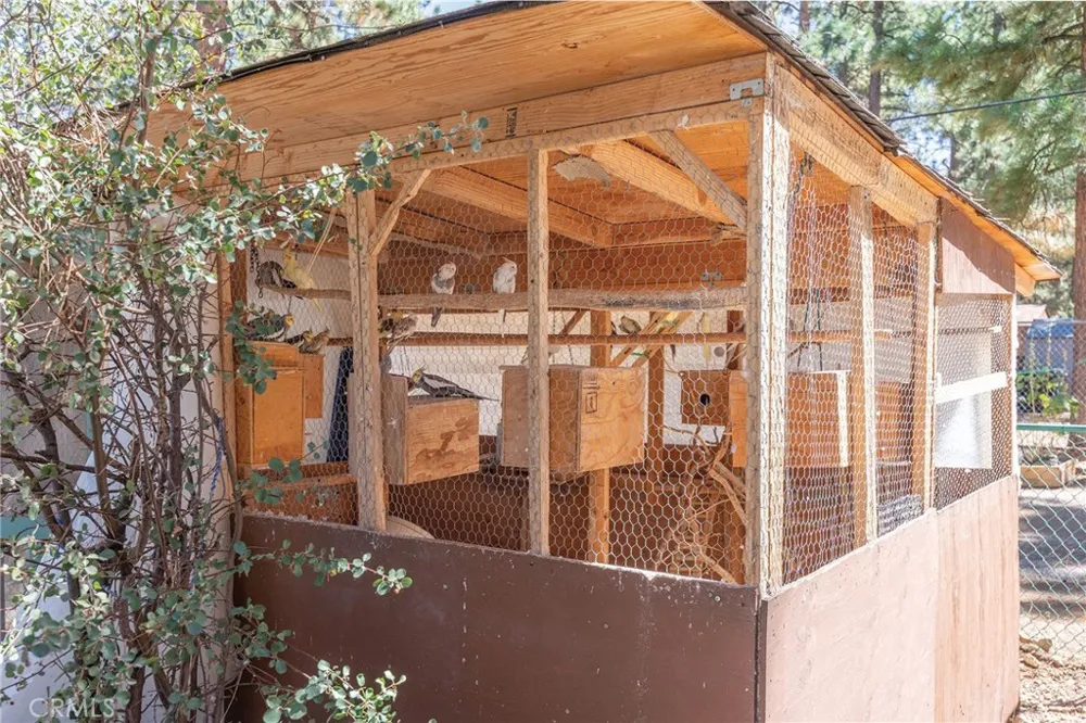 1971 Fern Big Bear City, CA 92314
