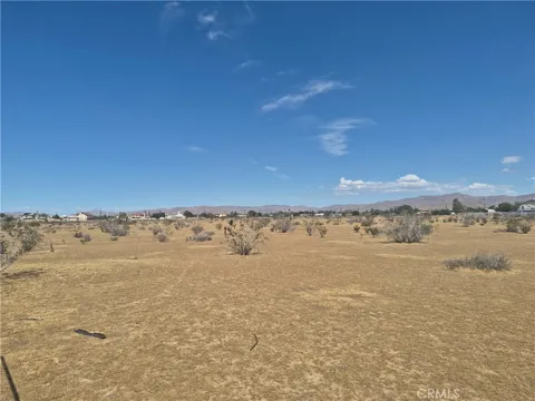 Merino