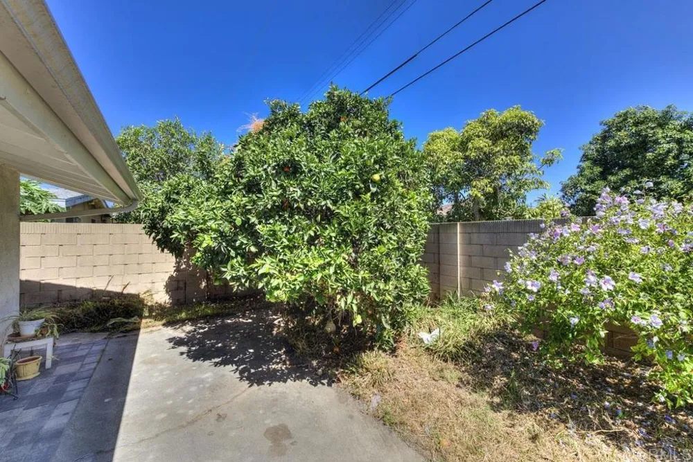 2228 Maple Street Costa Mesa, CA 92627