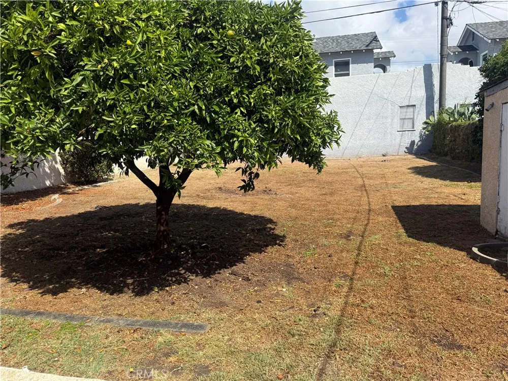1056 W 8th San Pedro, CA 90017