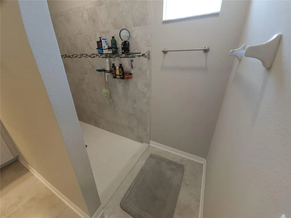9342 CRESCENT RAY DRIVE Wesley Chapel, FL 33545
