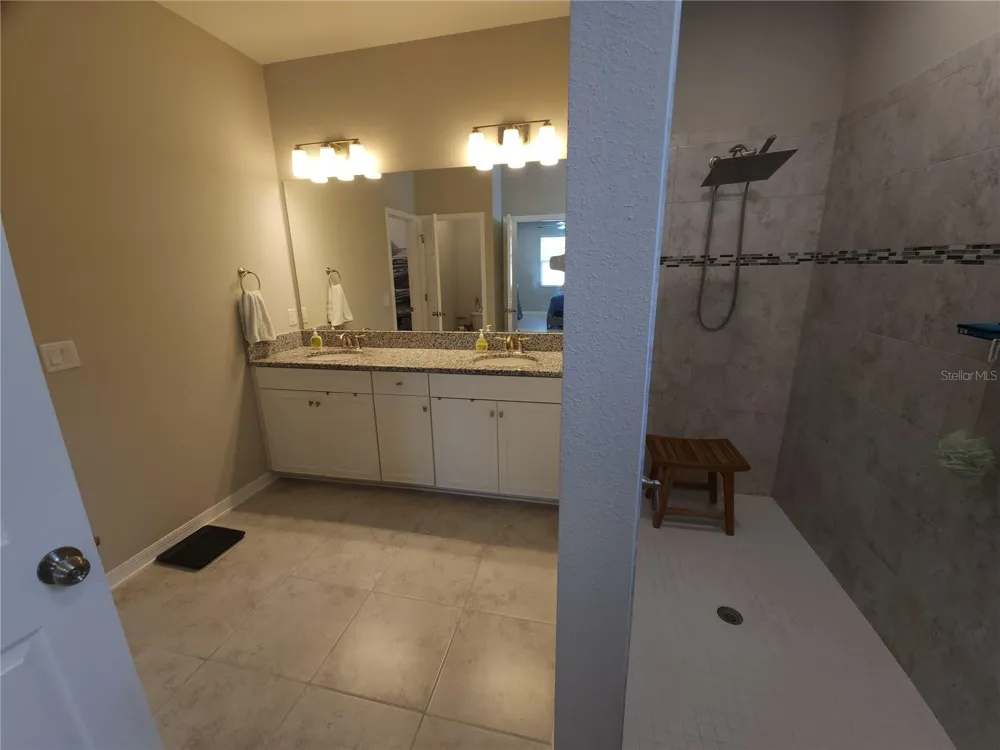 9342 CRESCENT RAY DRIVE Wesley Chapel, FL 33545