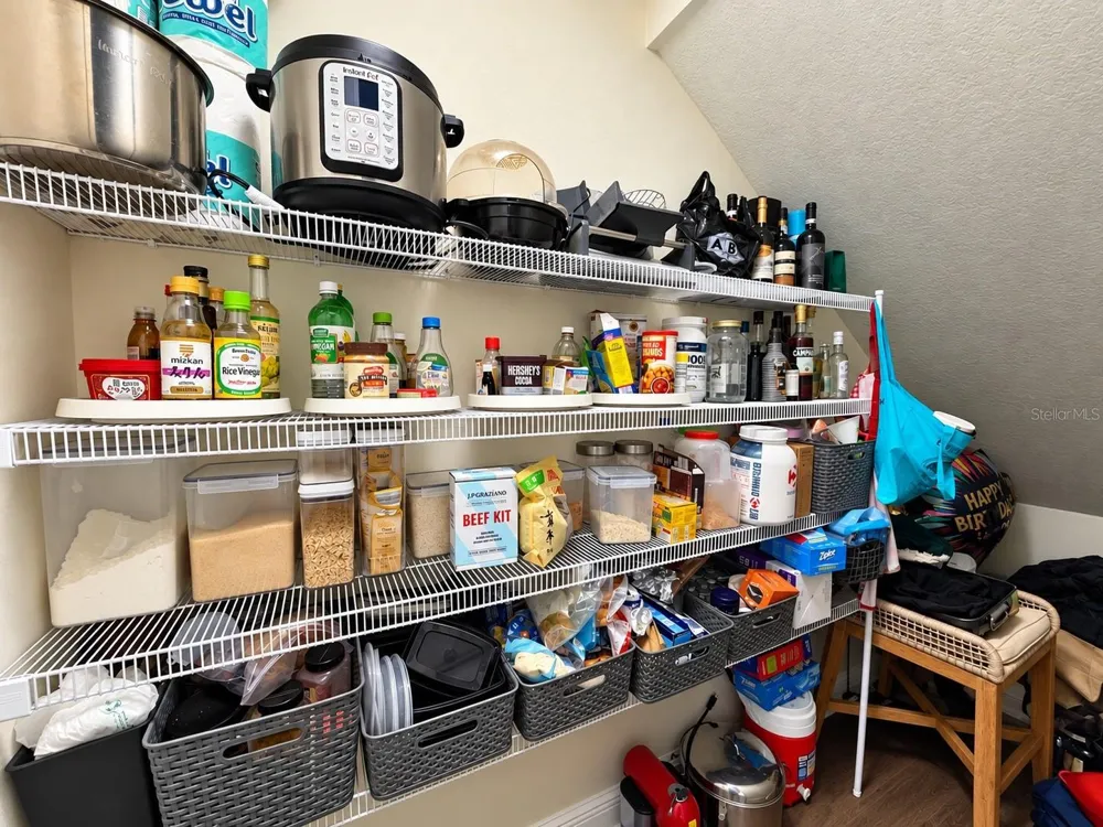 17874 ALTHEA BLUE PLACE Lutz, FL 33558