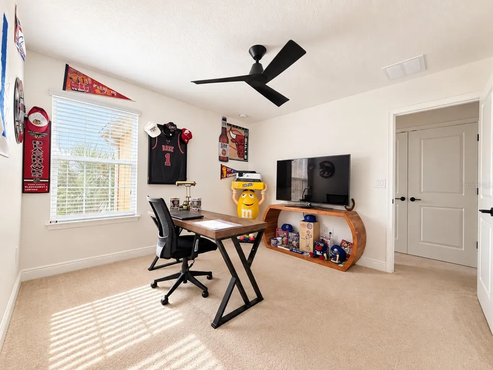 17874 ALTHEA BLUE PLACE Lutz, FL 33558