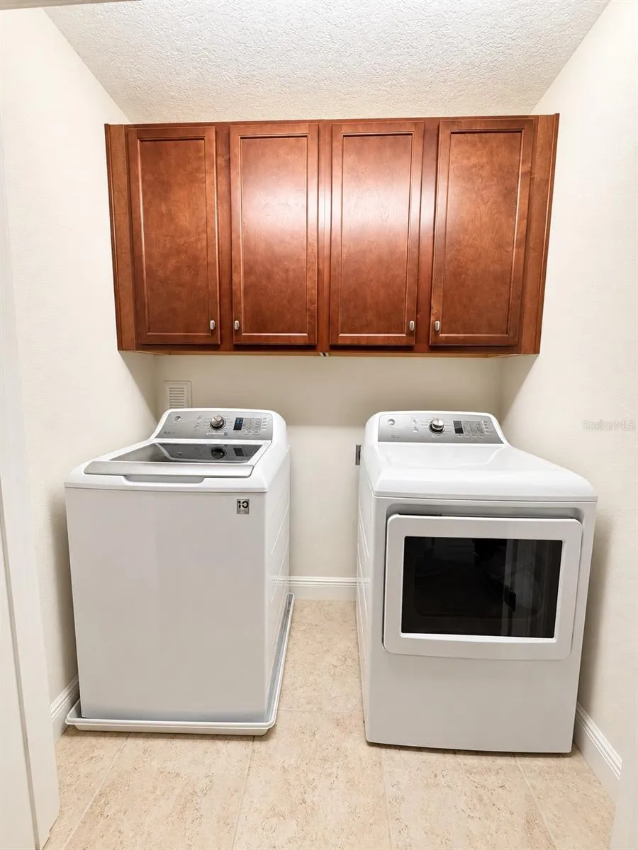 17874 ALTHEA BLUE PLACE Lutz, FL 33558