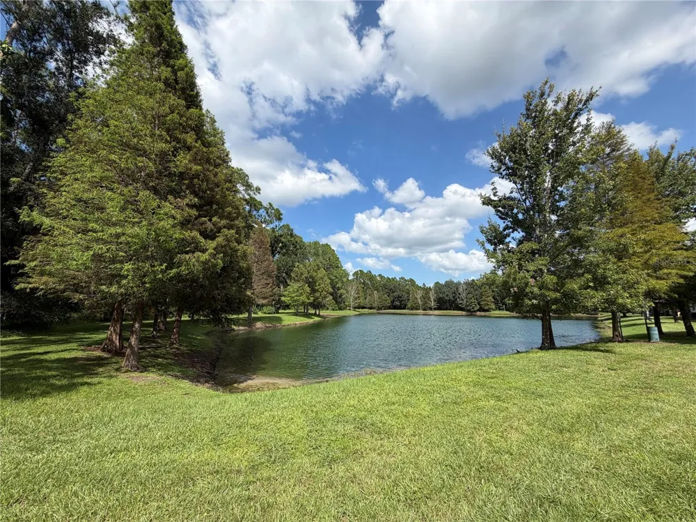 17874 ALTHEA BLUE PLACE Lutz, FL 33558