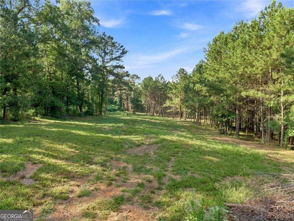 283 Leo Taylor LN Ball Ground, GA 30107