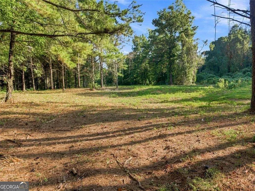 283 Leo Taylor LN Ball Ground, GA 30107