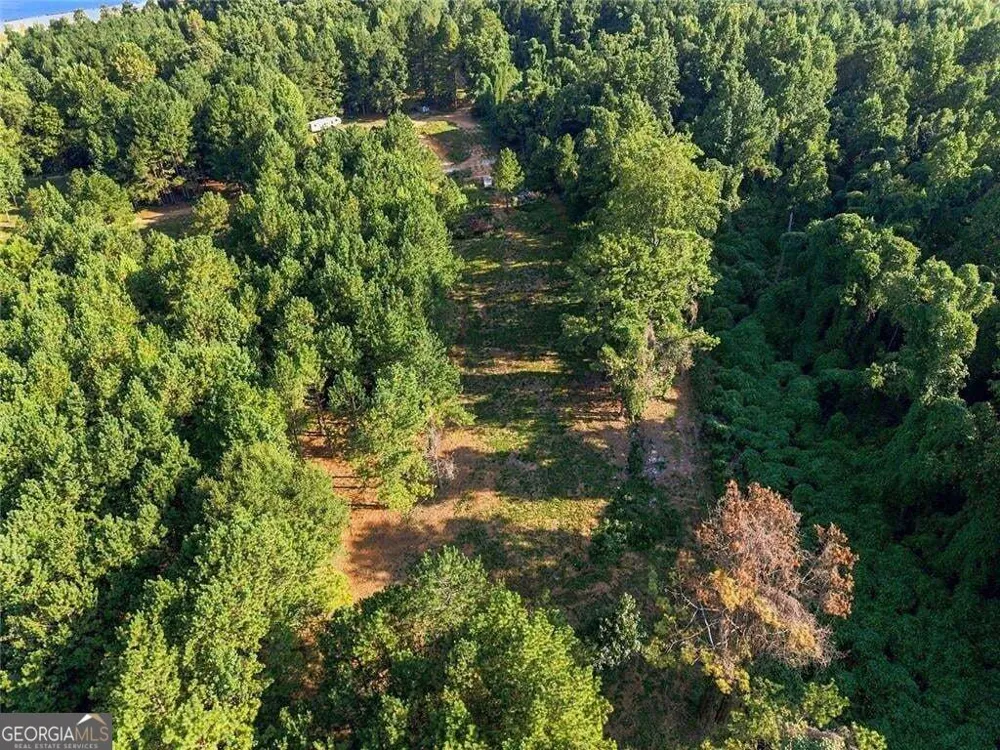 283 Leo Taylor LN Ball Ground, GA 30107