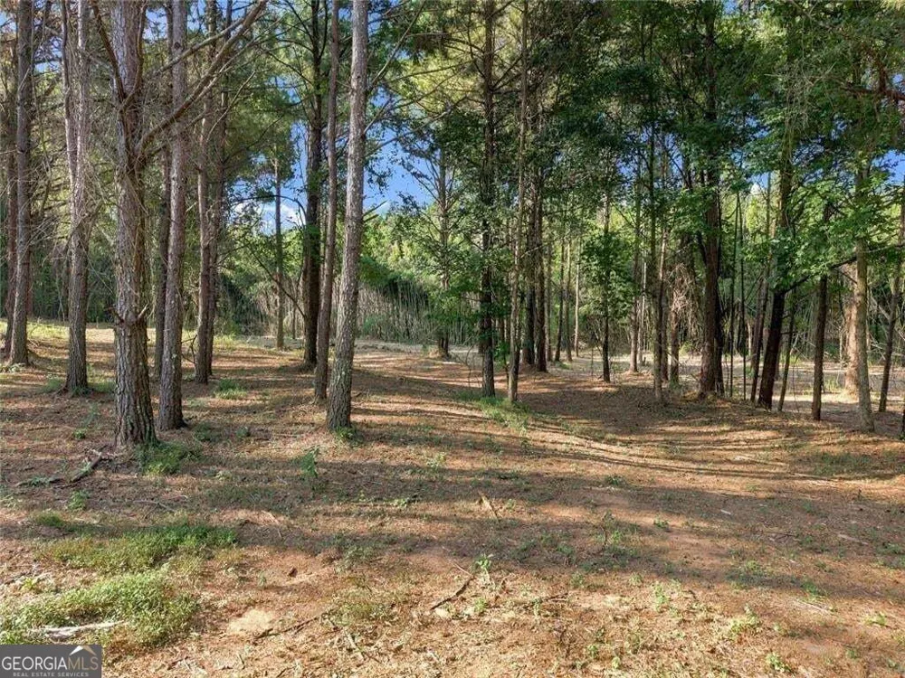 283 Leo Taylor LN Ball Ground, GA 30107