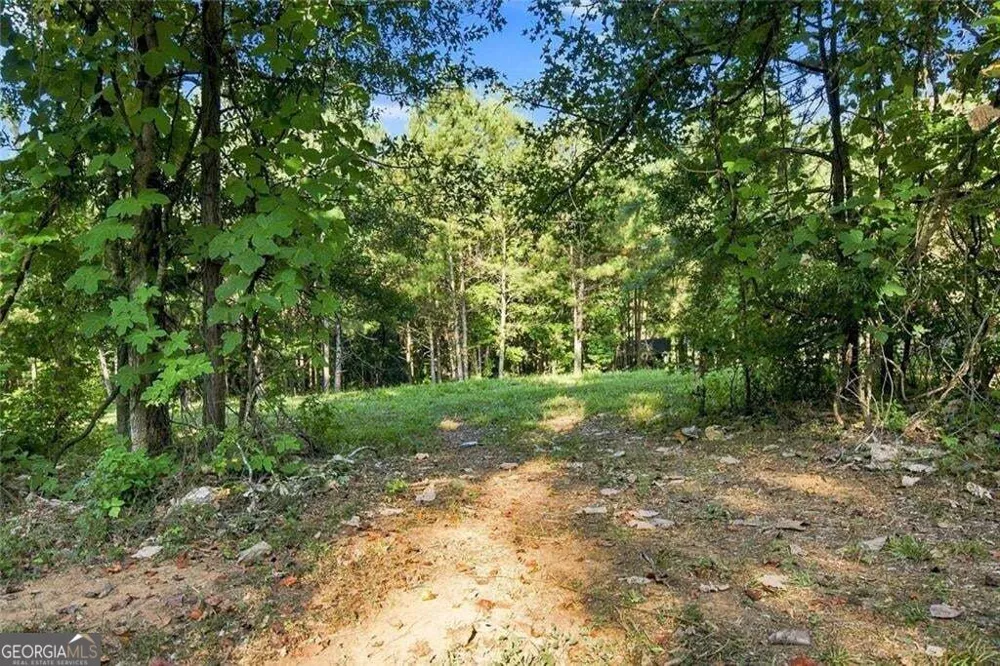 283 Leo Taylor LN Ball Ground, GA 30107