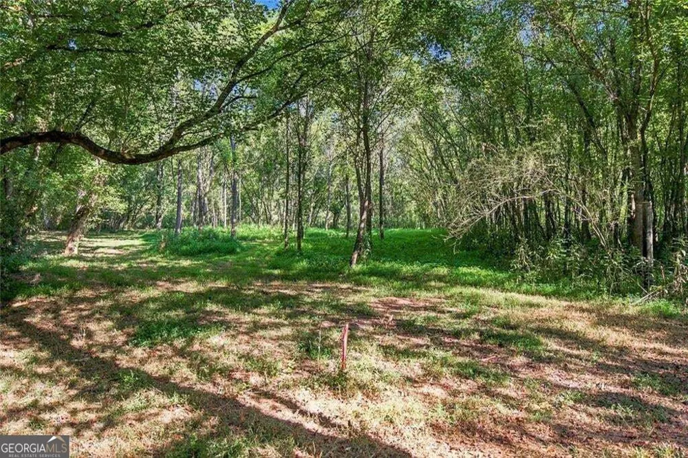 283 Leo Taylor LN Ball Ground, GA 30107