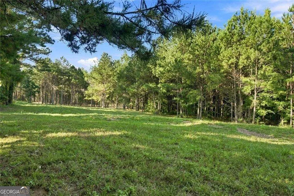 283 Leo Taylor LN Ball Ground, GA 30107