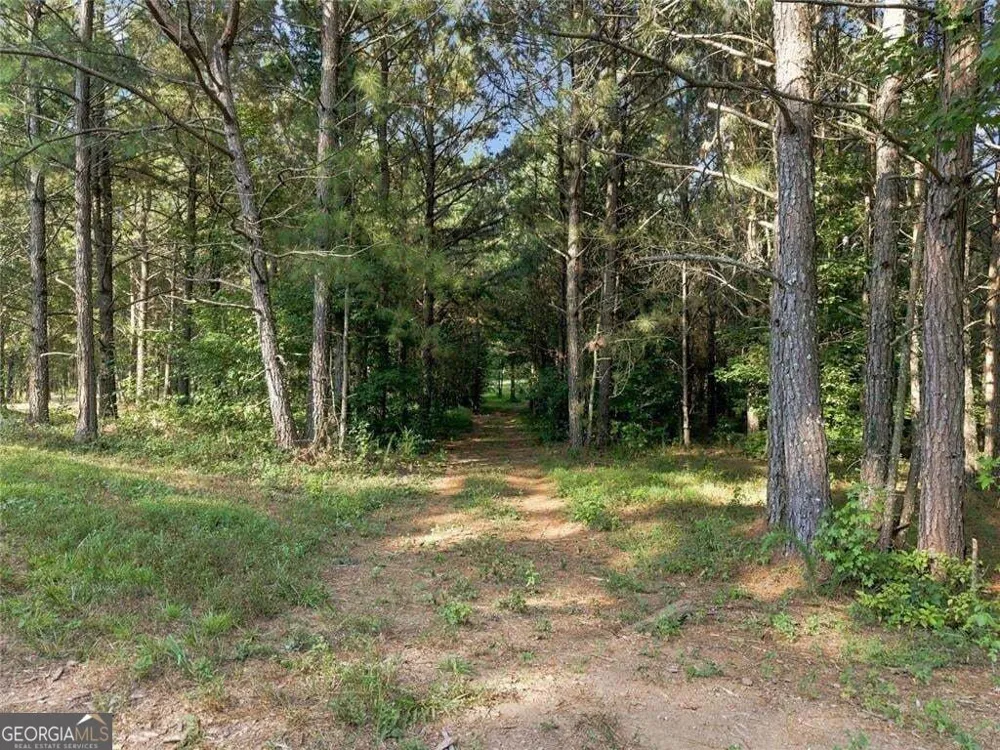 283 Leo Taylor LN Ball Ground, GA 30107