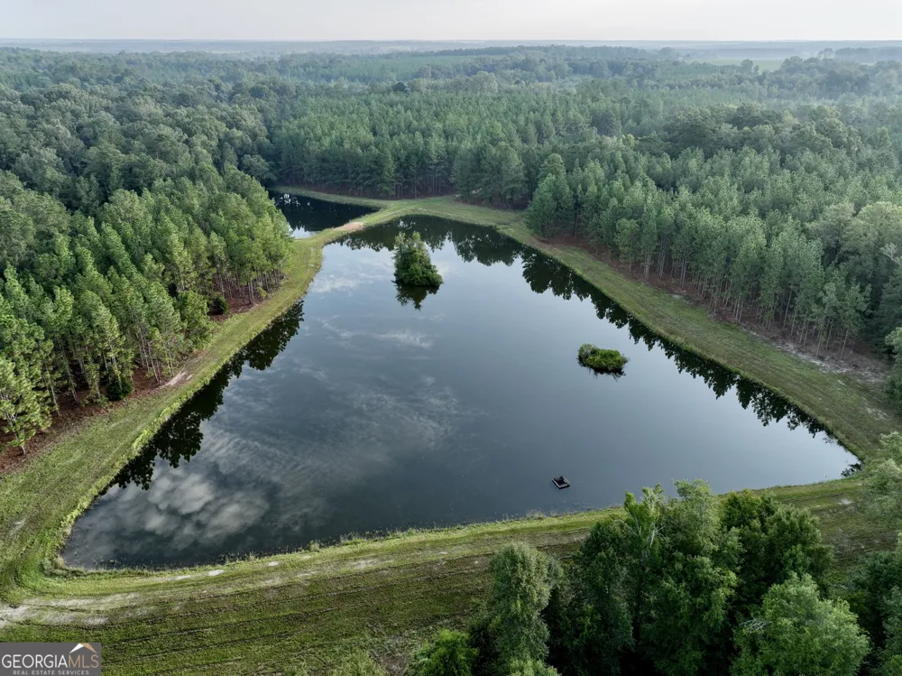 652 L A Peterson RD Rhine, GA 31077