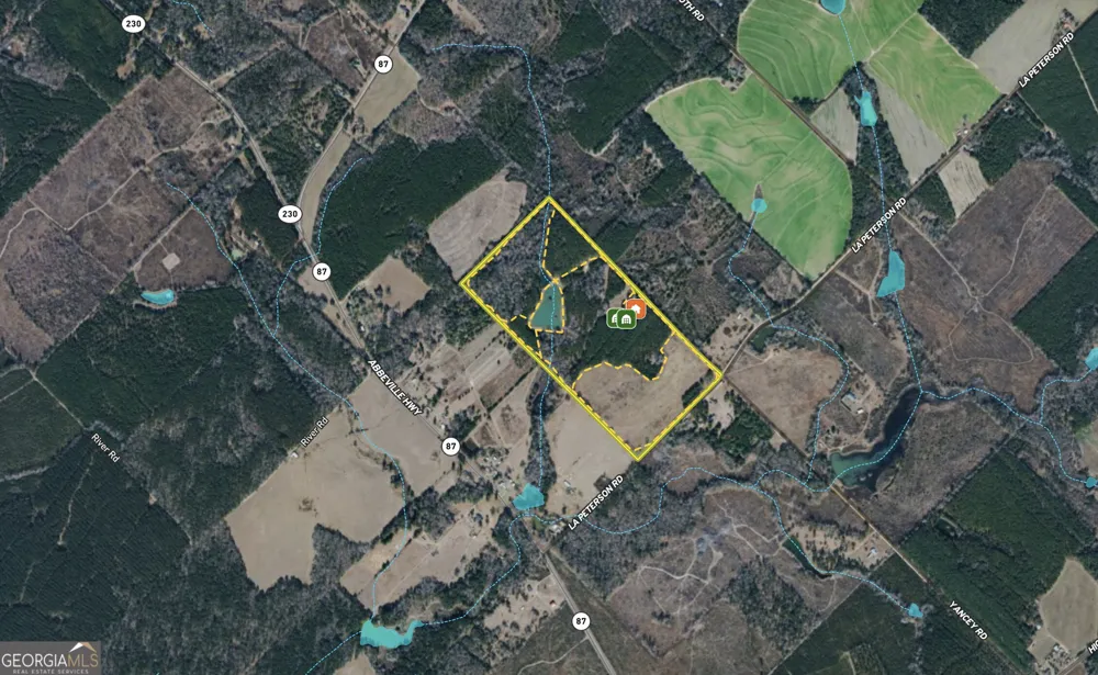 652 L A Peterson RD Rhine, GA 31077