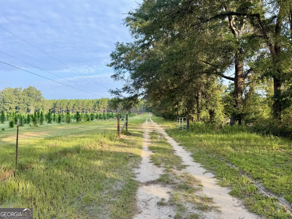 652 L A Peterson RD Rhine, GA 31077