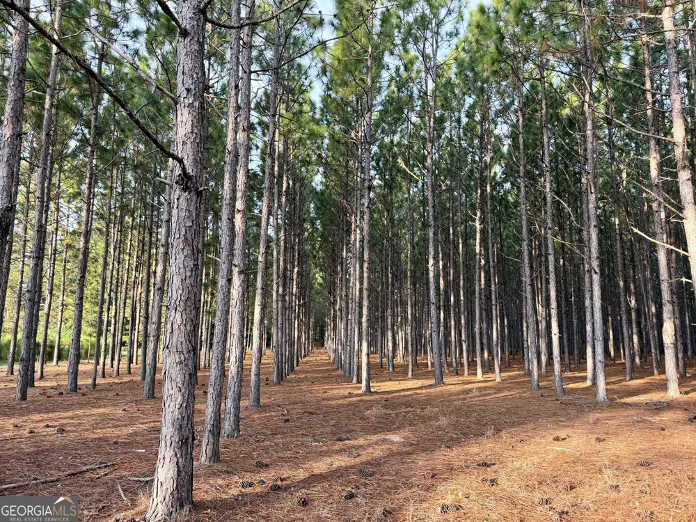 652 L A Peterson RD Rhine, GA 31077