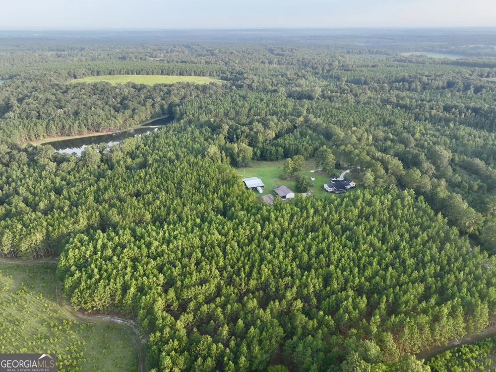652 L A Peterson RD Rhine, GA 31077