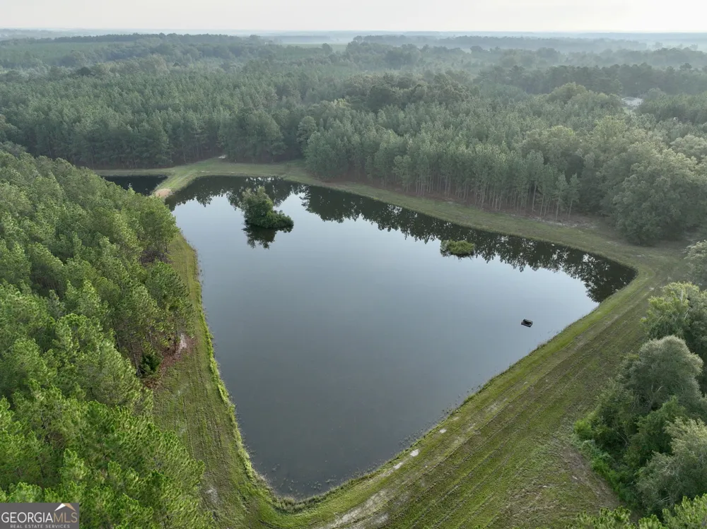 652 L A Peterson RD Rhine, GA 31077