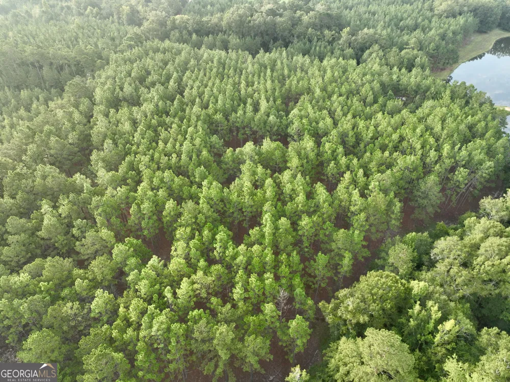 652 L A Peterson RD Rhine, GA 31077