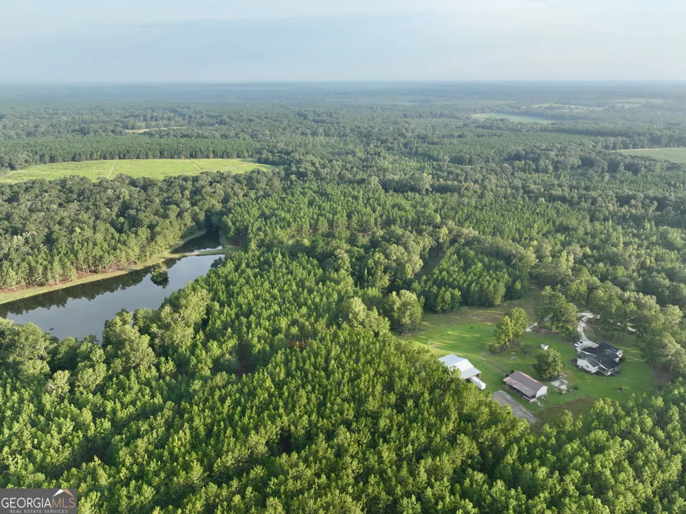 652 L A Peterson RD Rhine, GA 31077