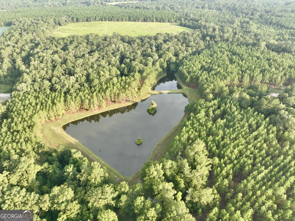 652 L A Peterson RD Rhine, GA 31077